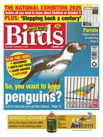 Cage & Aviary Birds